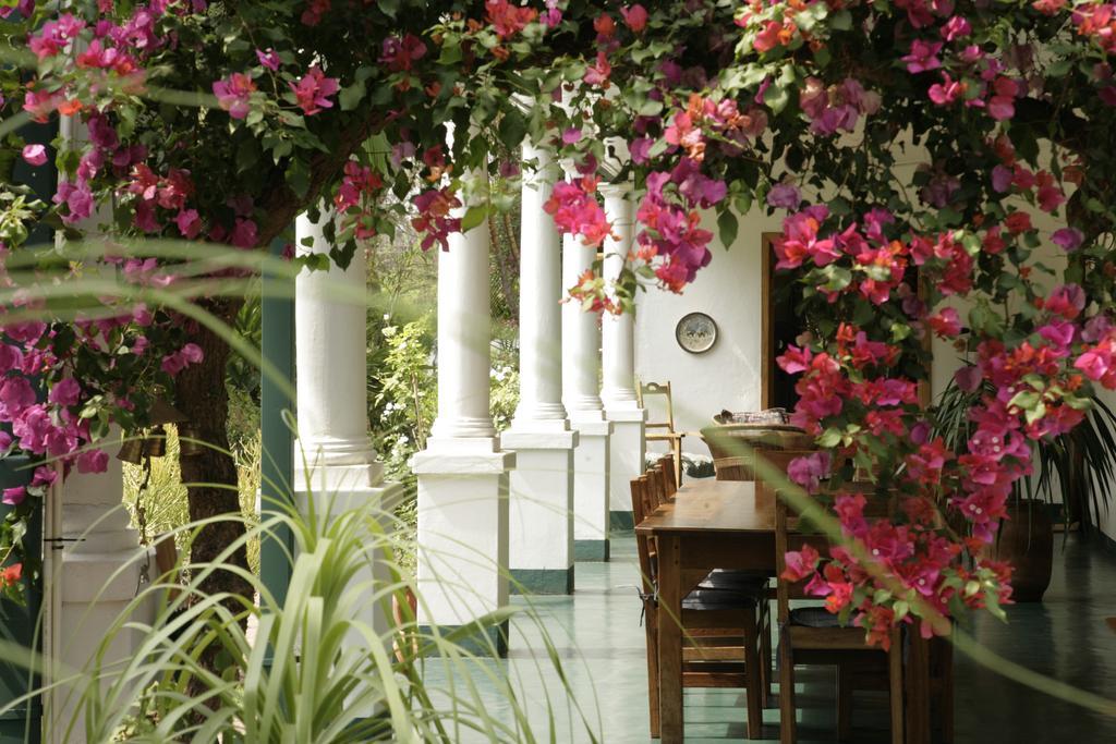 York Lodge Хараре Экстерьер фото