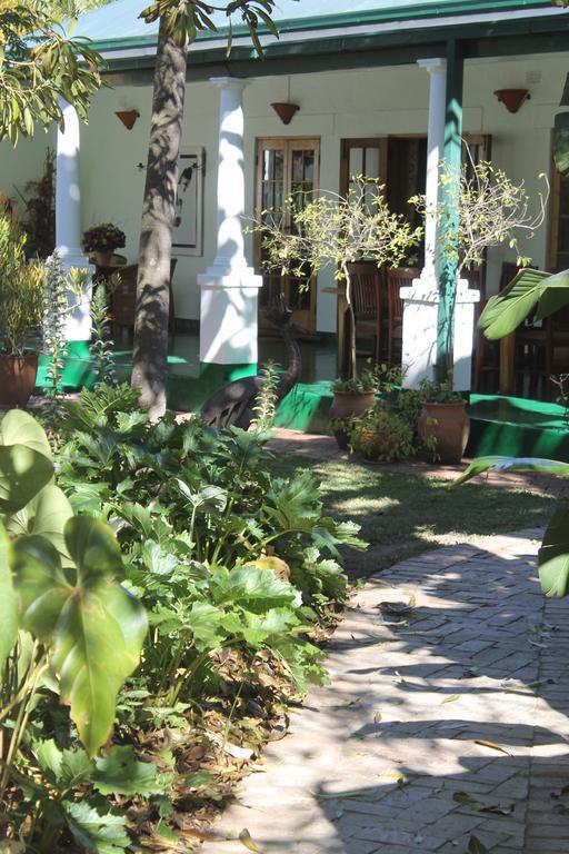 York Lodge Хараре Экстерьер фото